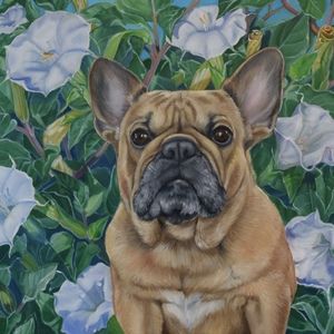 Meet your Posher, Robin